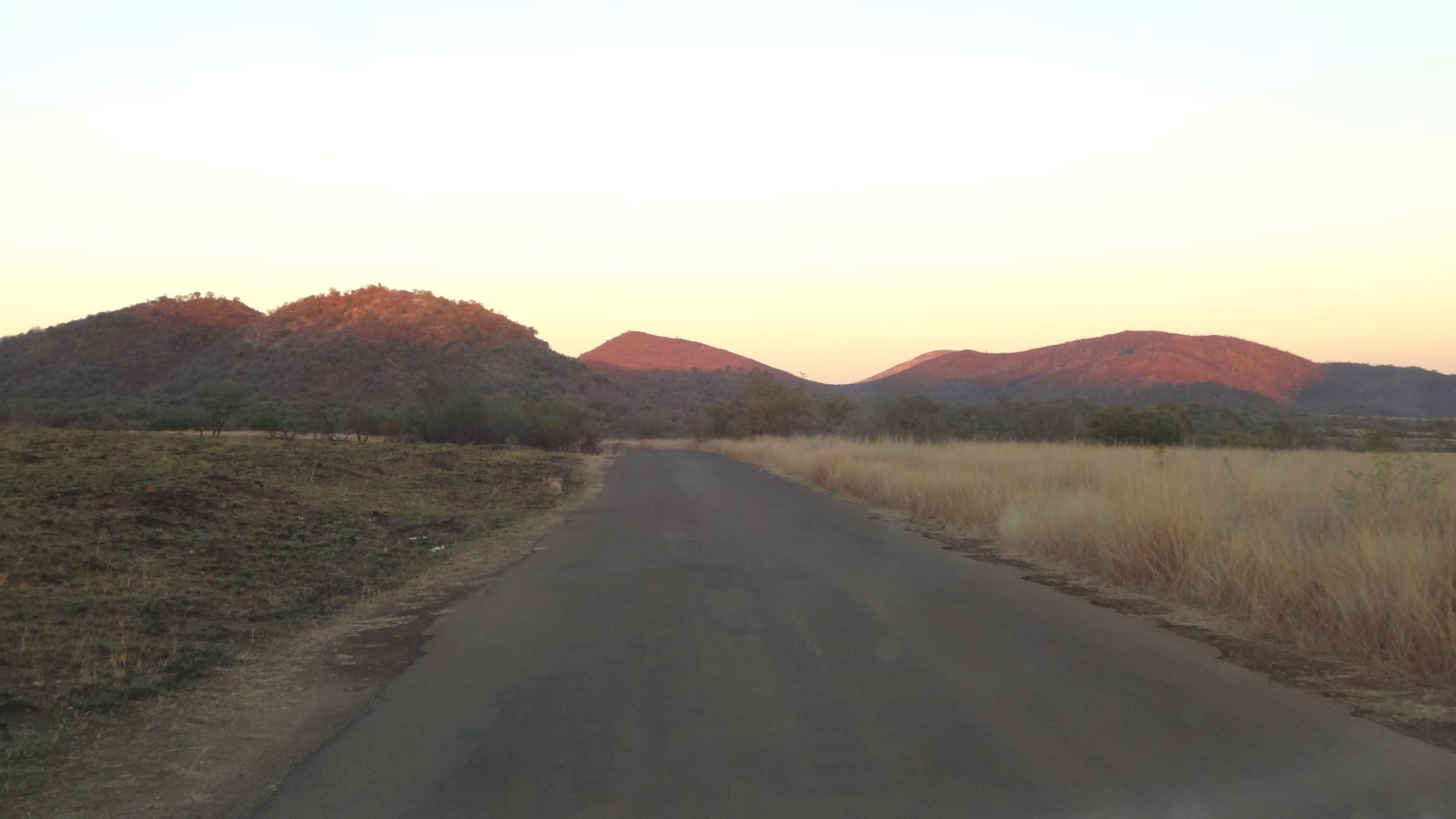 1-Day Pilanesberg Safari from Johannesburg with Big 5 Game Drives
