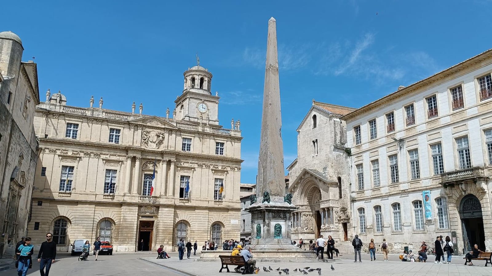 8-Hour Arles and Camargue Tour with Van Gogh and Flamingos