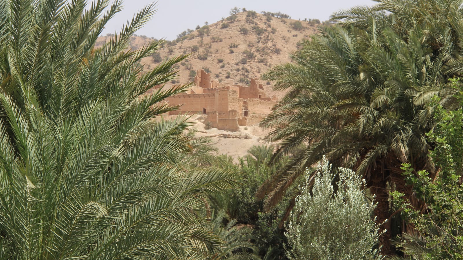 9-Hour Taroudant and Tiout Day Trip from Agadir with Oasis Kasbah