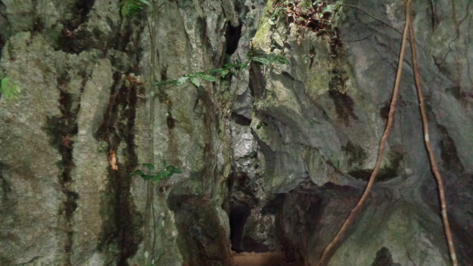 8-Hour Underground River and Ugong Rock Zipline Tour in Puerto Princesa