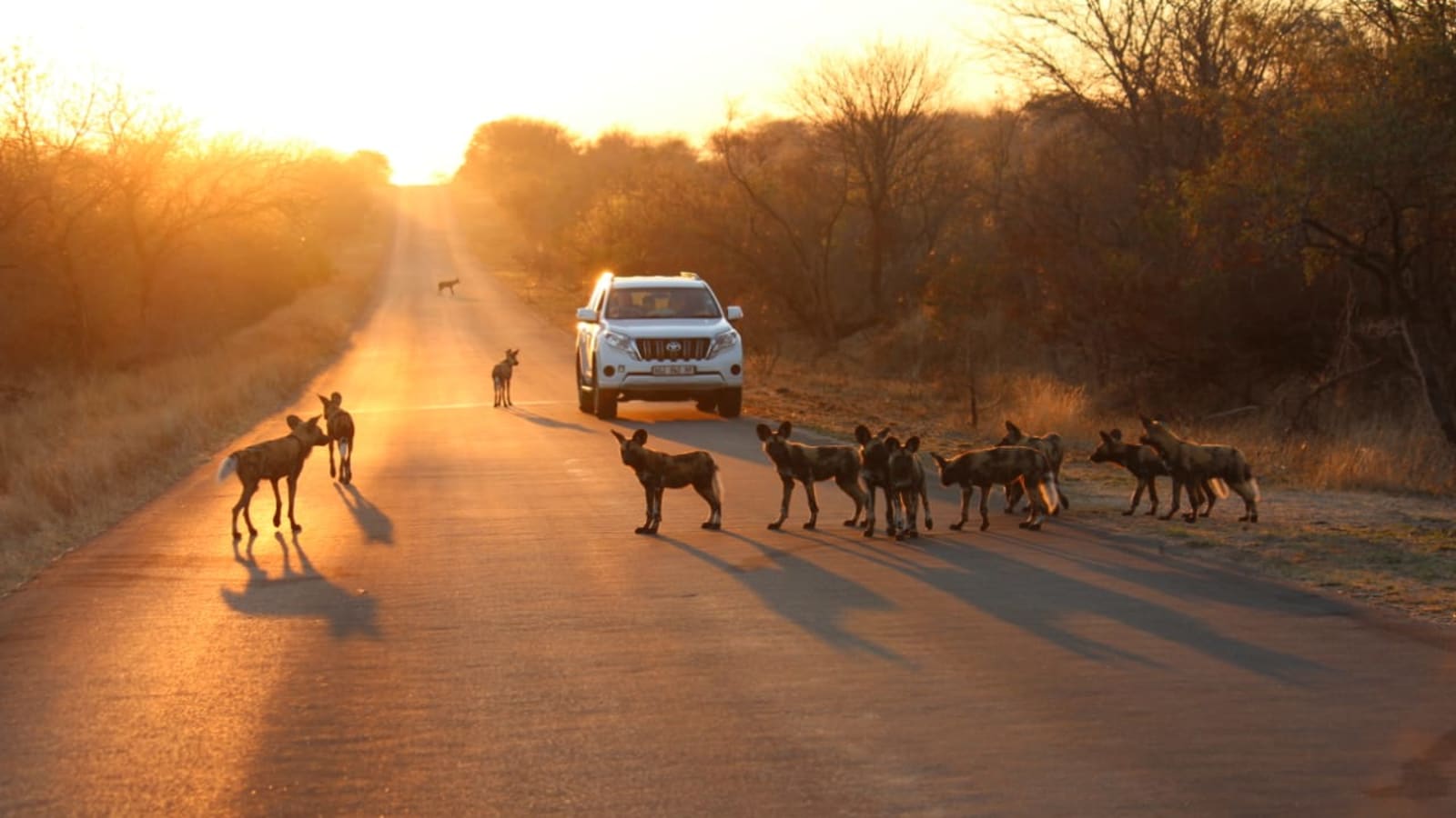 3-Day Kruger National Park Game Drive from Johannesburg or Pretoria