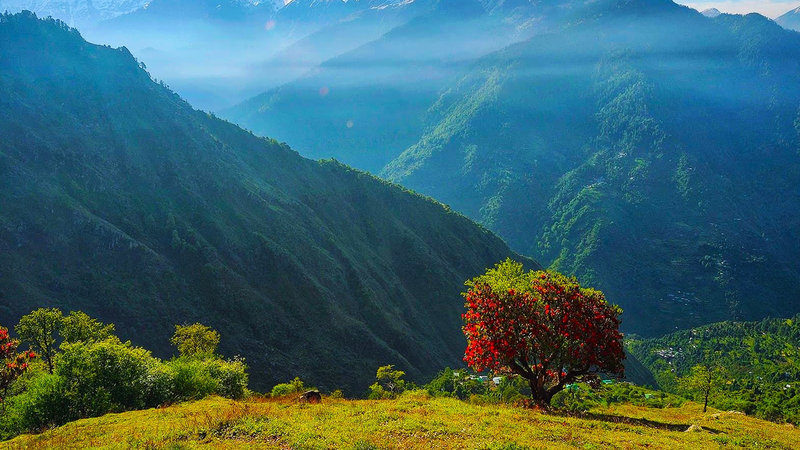 2-Day Rangthar Trek in Great Himalayan National Park with Camping