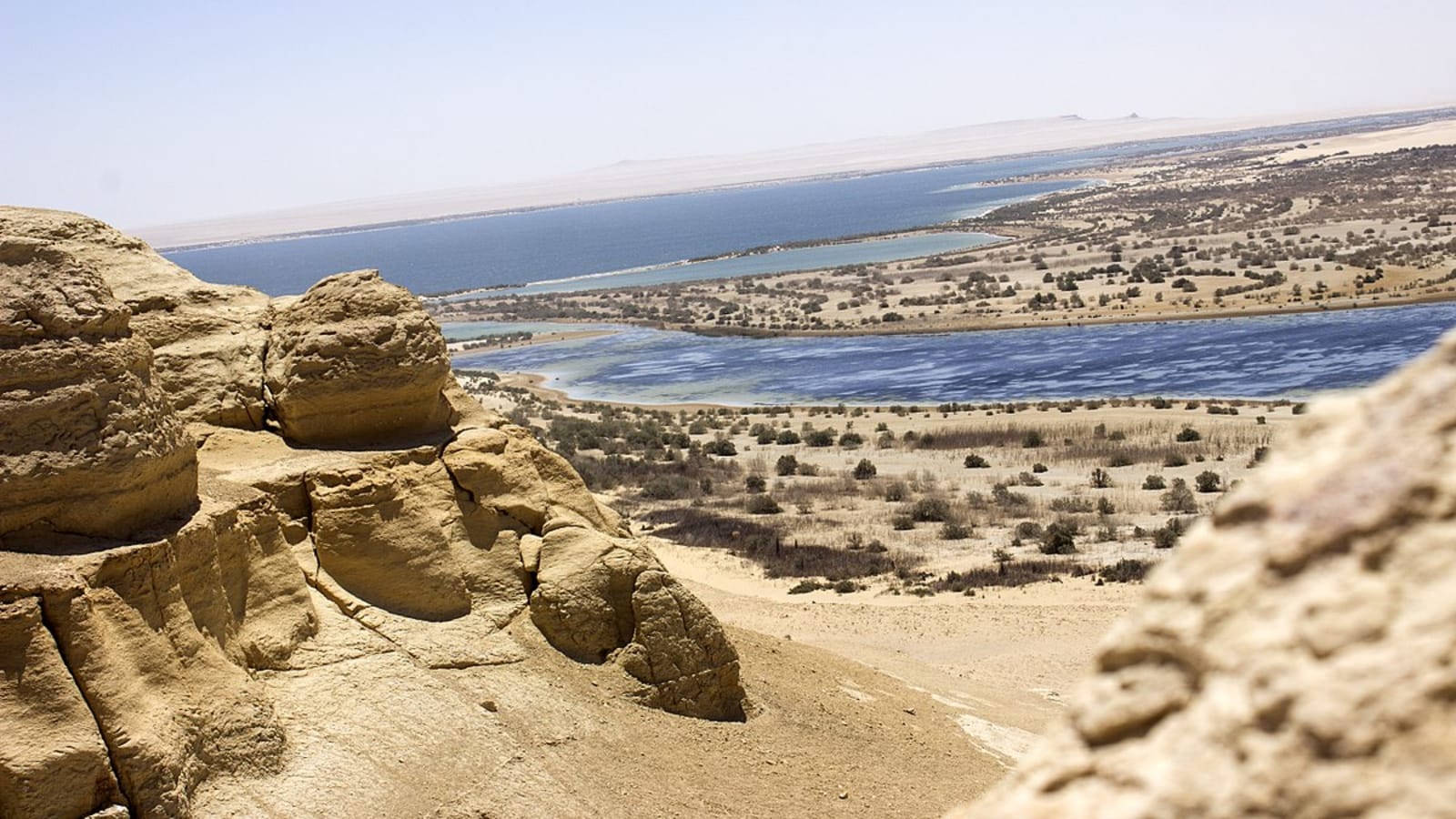 Full-Day El Fayoum Tour from Cairo with Wadi El Hitan and Sandboarding