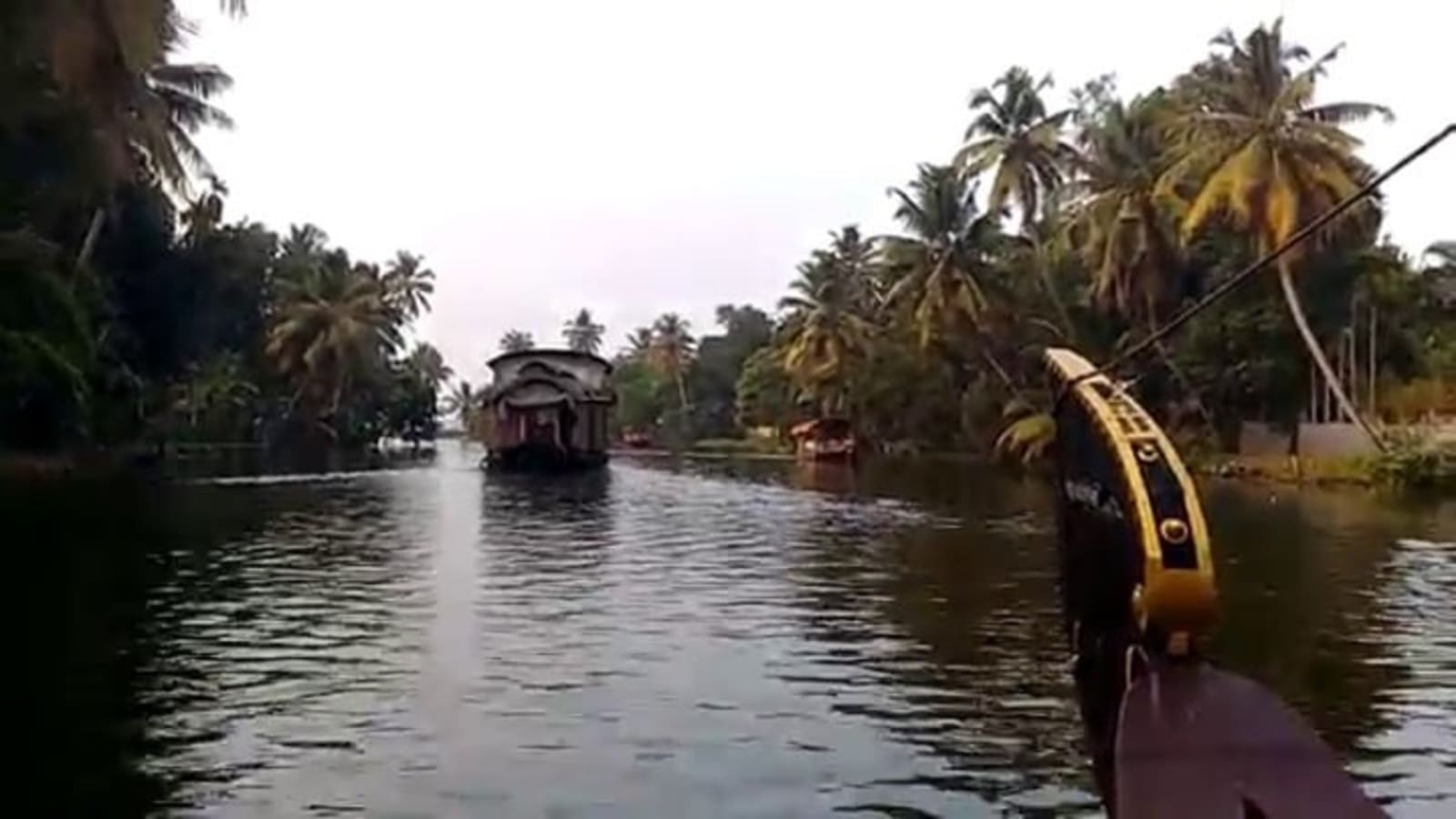 8-Hour Kochi and Alleppey Tour with Fort Kochi and Backwater Cruise