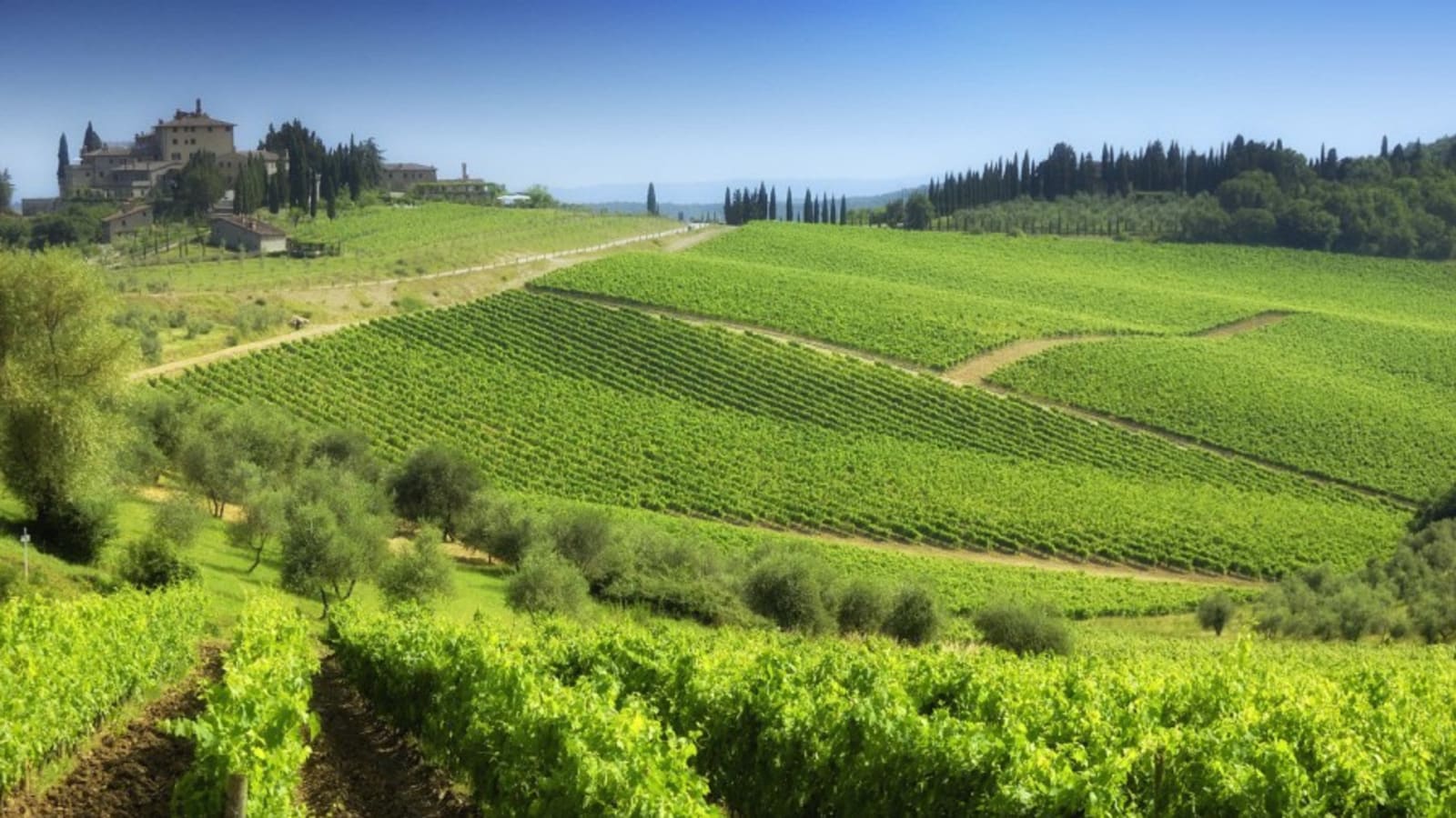 8-Hour Chianti and San Gimignano Wine Tour with Two Tastings
