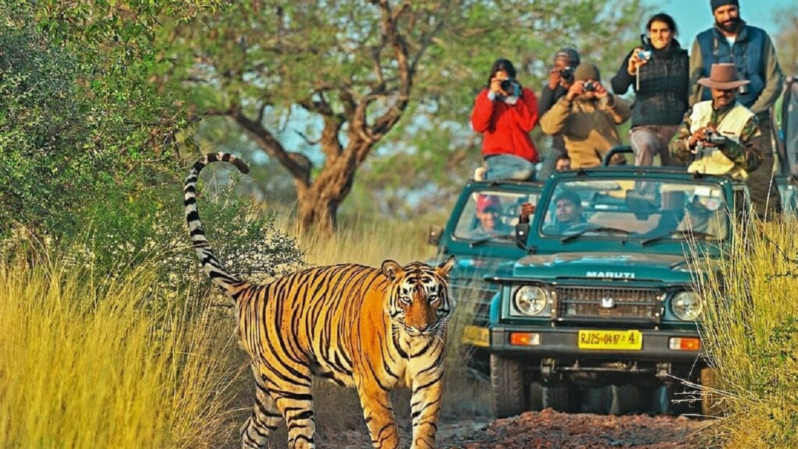 8-Day Golden Triangle Tour with Ranthambore Safari and Taj Mahal