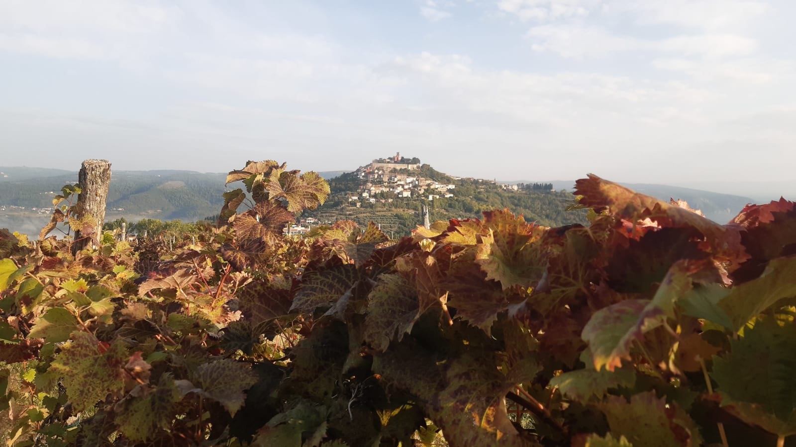 8-Hour Inner Istria Tour with Grožnjan, Motovun and Truffle Tasting