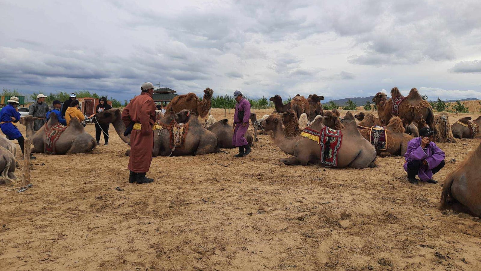 13-Day Mongolia Gobi, Khangai and Khövsgöl Lake Adventure