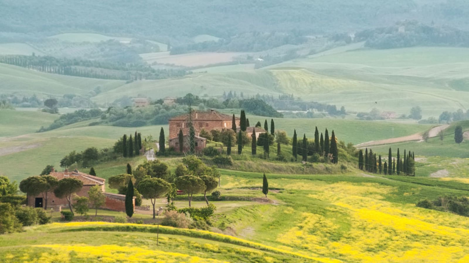 7-Hour Montalcino Wine Tour through Val d'Orcia and Pienza