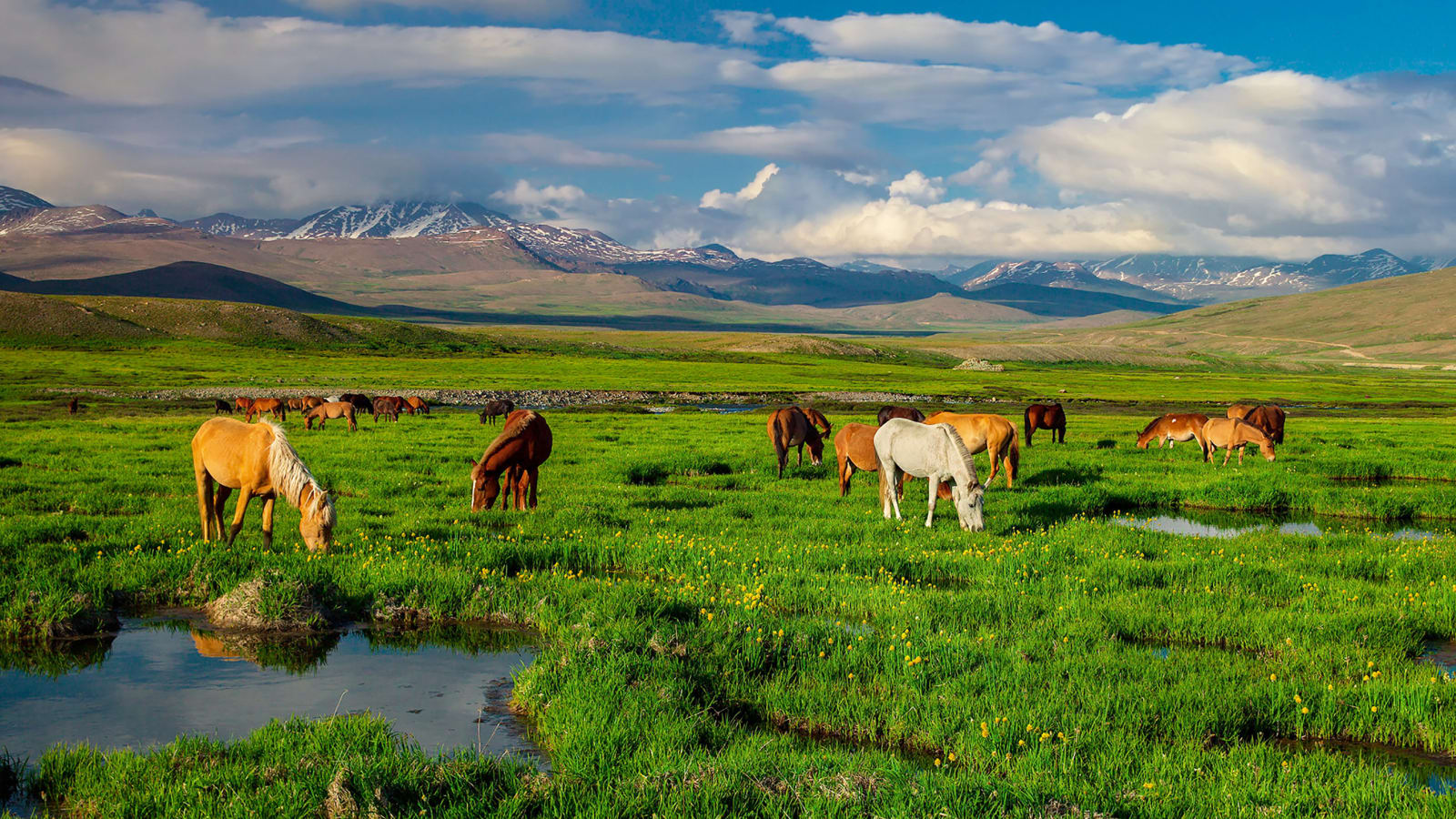 12-Day Cultural and Scenic Pakistan Tour from Islamabad to Lahore