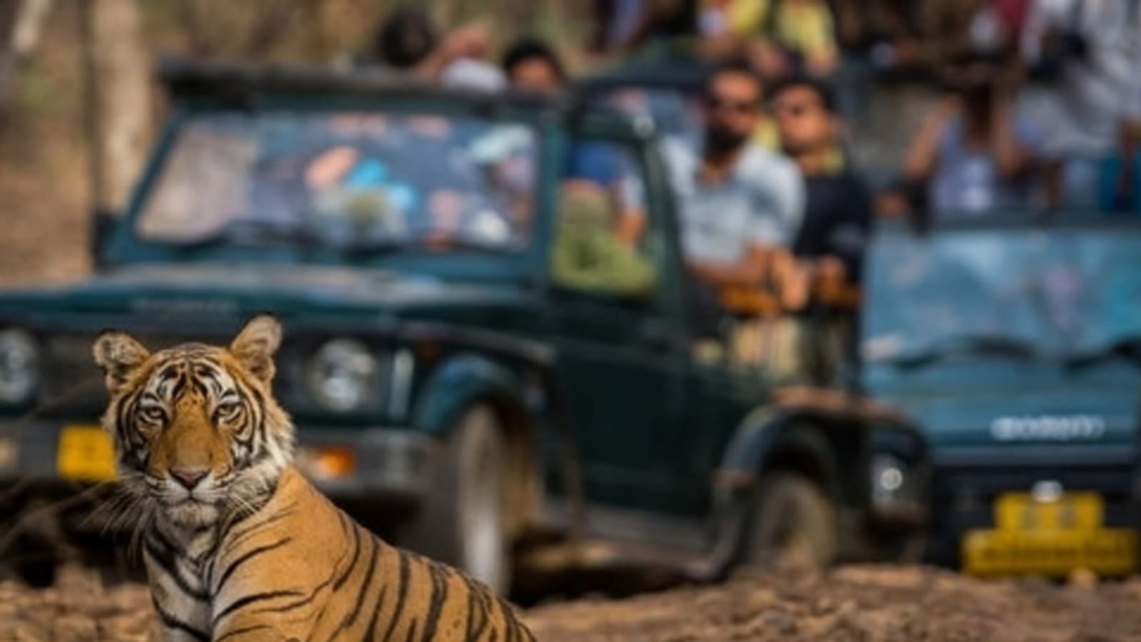 5-Day Golden Triangle and Ranthambore Tiger Safari from Delhi