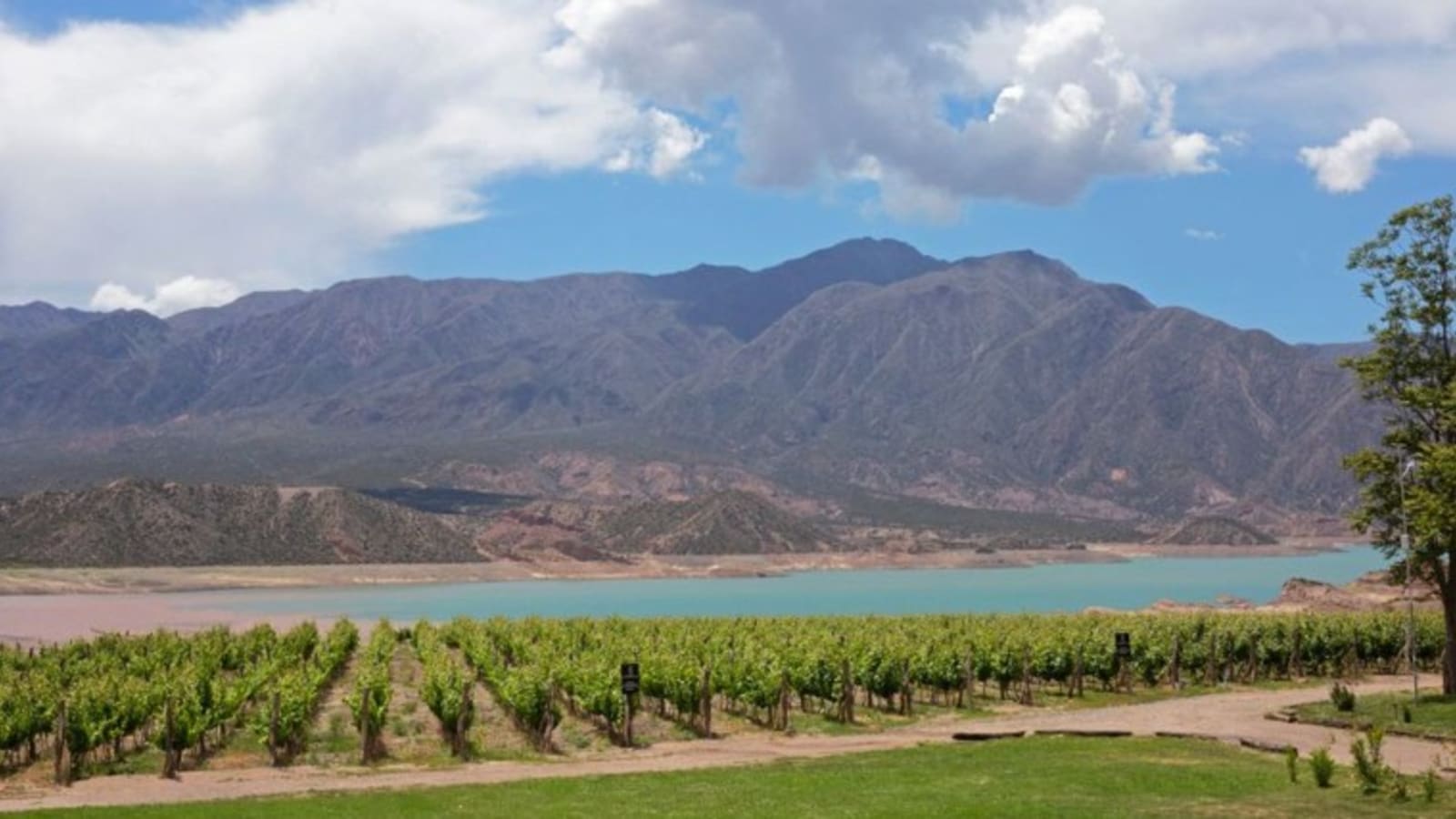 11-Day Argentina Wine and Sightseeing Tour with Salta and Mendoza