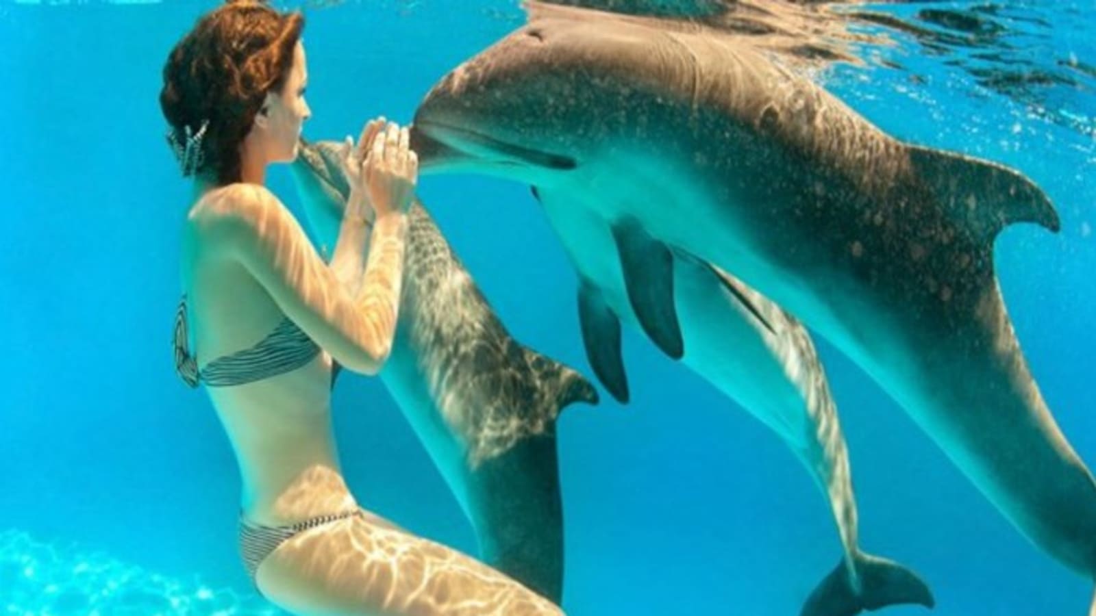 7-Day Marsa Alam Adventure Tour with Desert Safari and Snorkelling