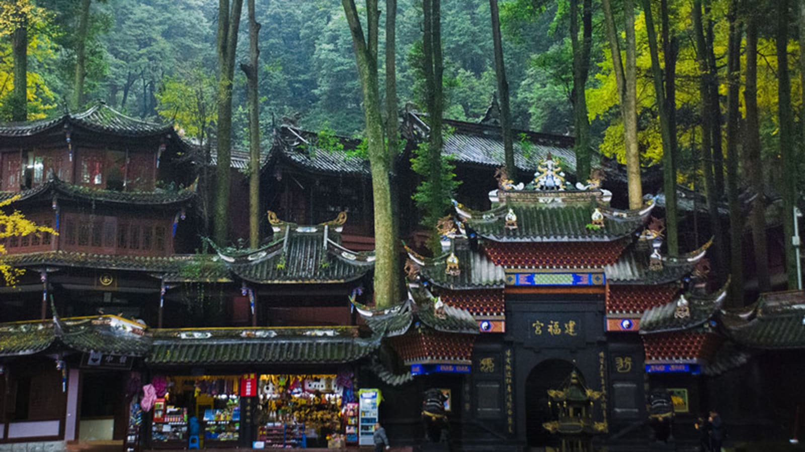 1-Day Qingchengshan Temples Hike from Chengdu with Taoist Heritage