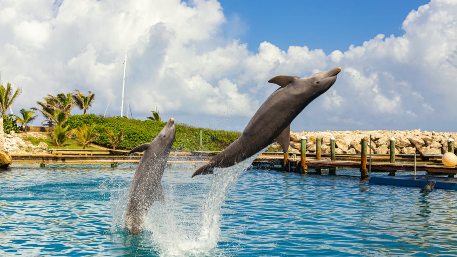 8-Hour Rosario Islands Snorkeling Tour from Cartagena with Plankton