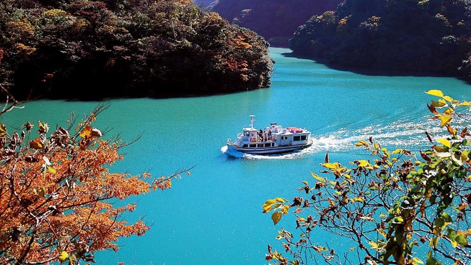 6-Hour Shogawa River Cruise and Countryside Tour from Toyama
