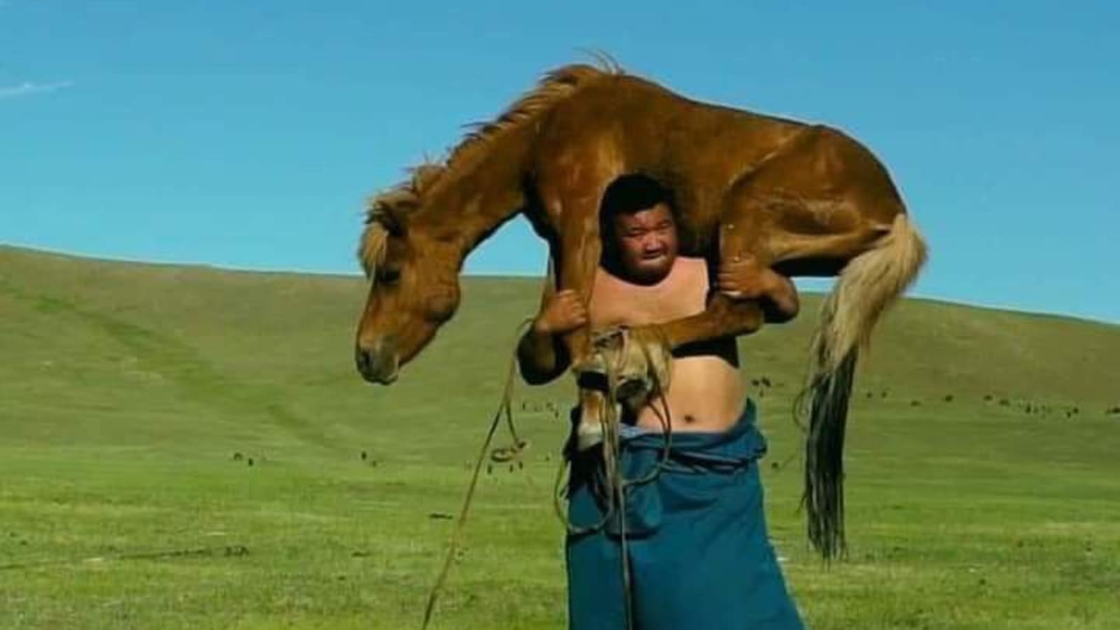 8-Day Mongolia Cultural and Horseback Adventure from Ulaanbaatar