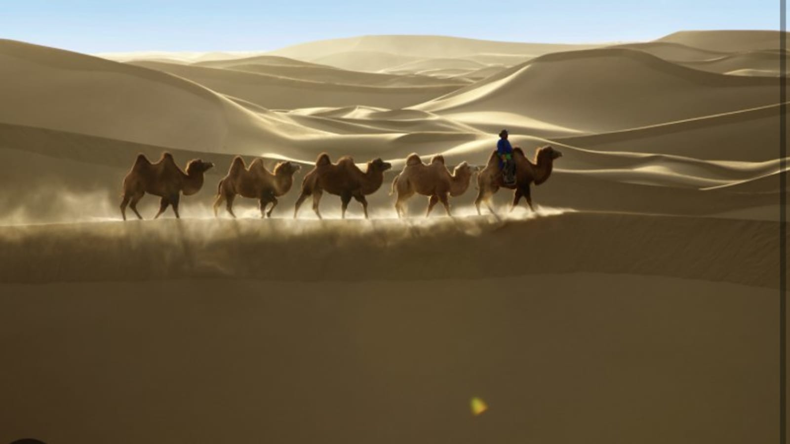 7-Day Gobi Desert Tour from Sergelen with Terelj and Local Flight