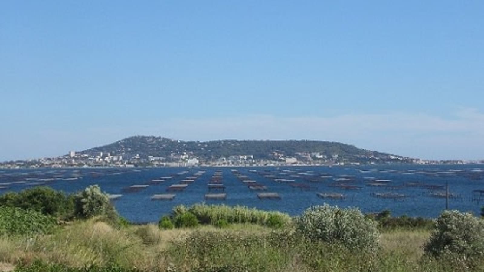 8-Hour Sète Gastronomy and Wine Tour from Montpellier