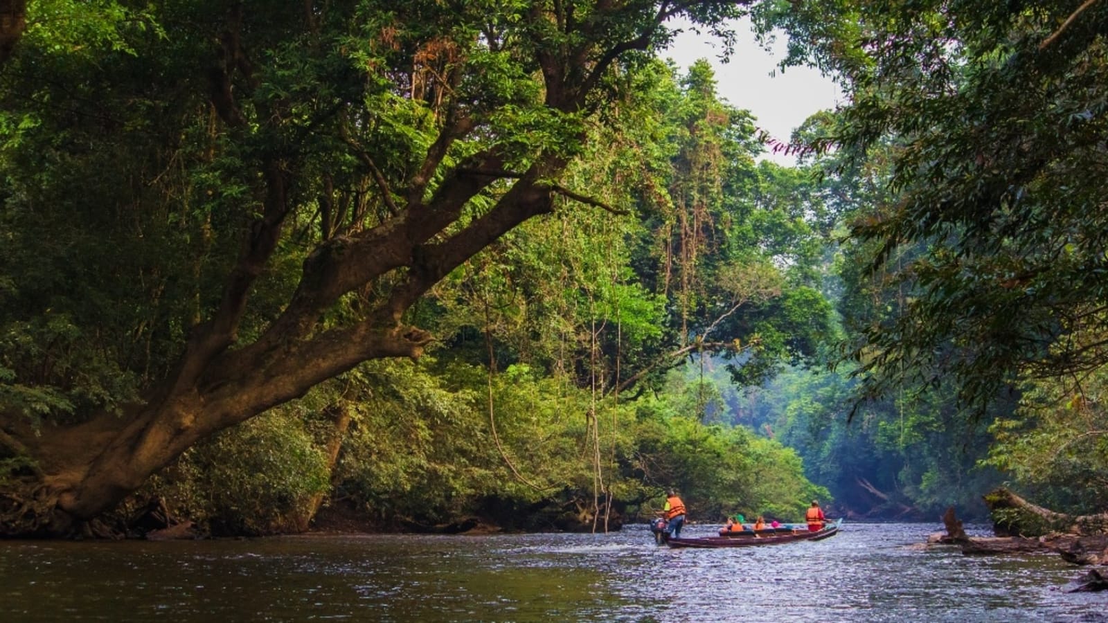 4-Day Taman Negara Tour from Kuala Lumpur with Jungle and River Adventures