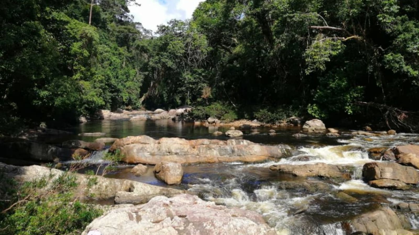 1-Day Lata Berkoh Jungle Trek in Taman Negara with Boat Return