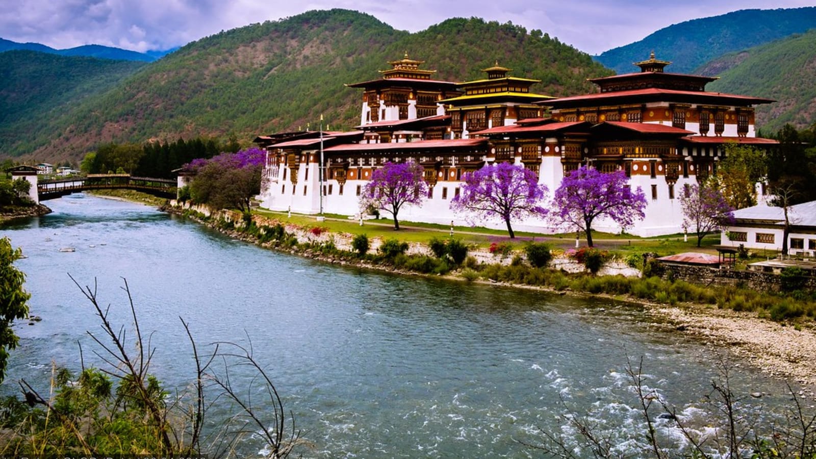 11-Day Bhutan Highlights Tour with Tiger's Nest and Phobjikha Valley