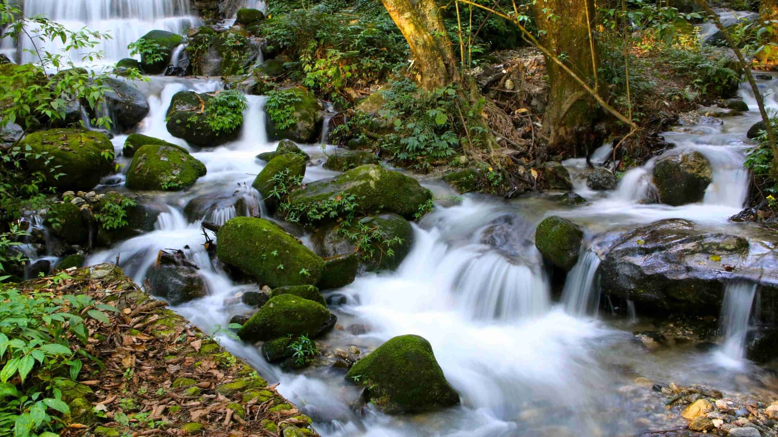 Full-Day Bagdwar Hike in Shivapuri Nagarjun National Park