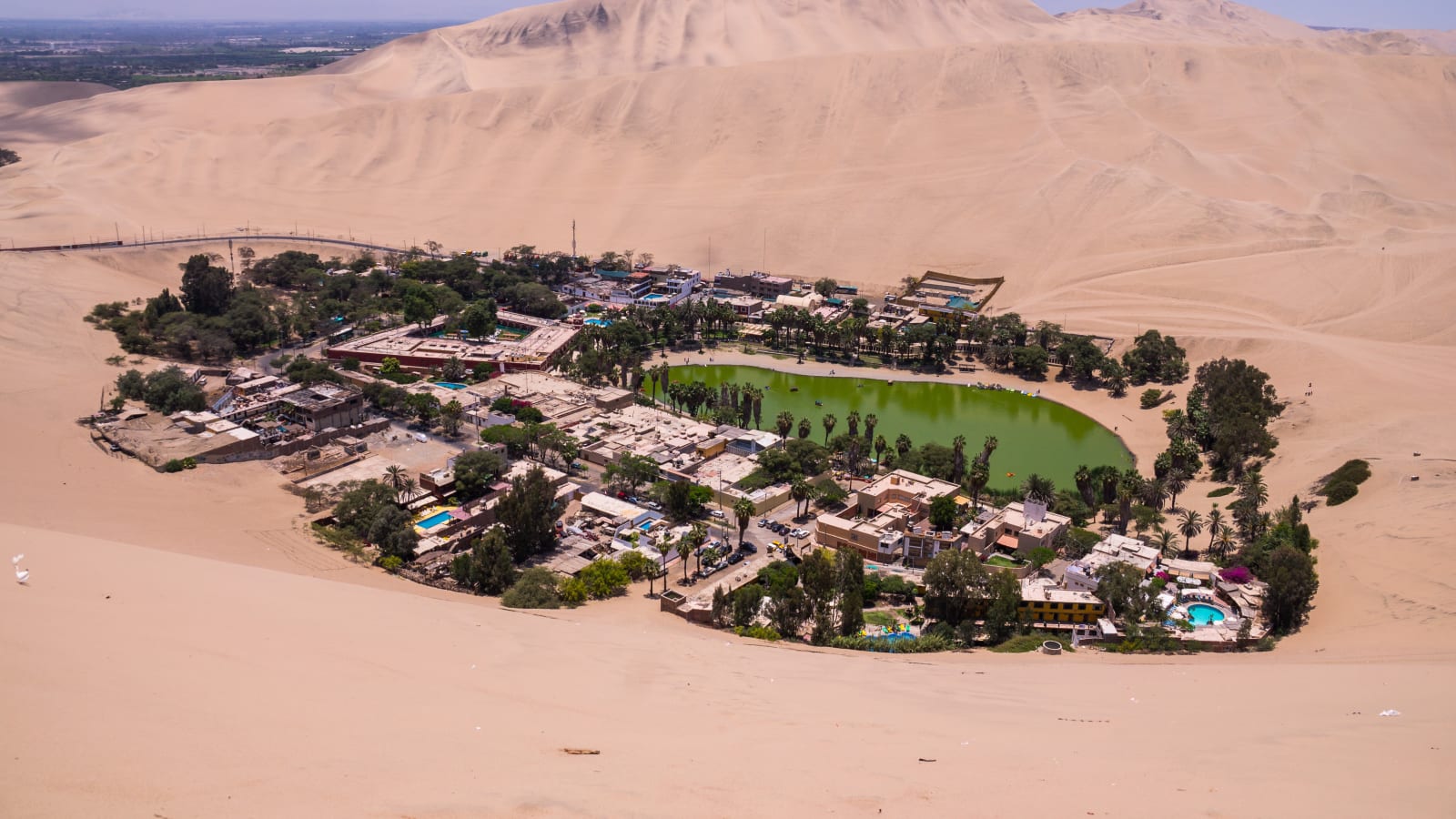 Full-Day Huacachina and Paracas Tour from Lima with Dune Buggies
