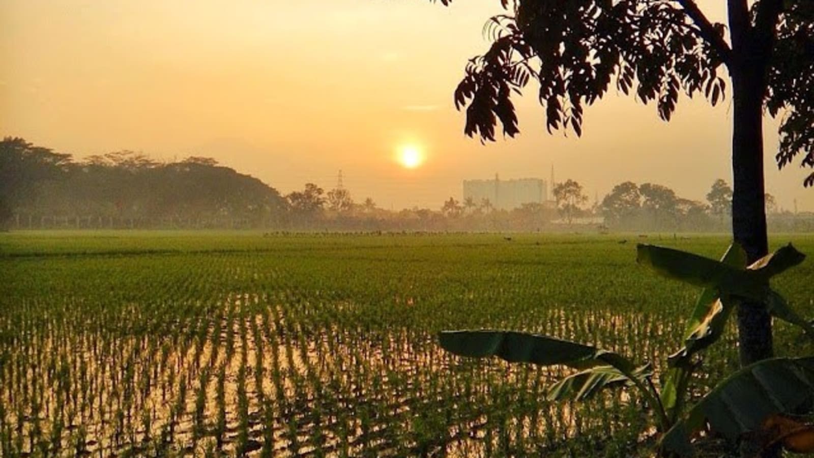1-Day Battambang Countryside Bike Tour with Sampov Mountain