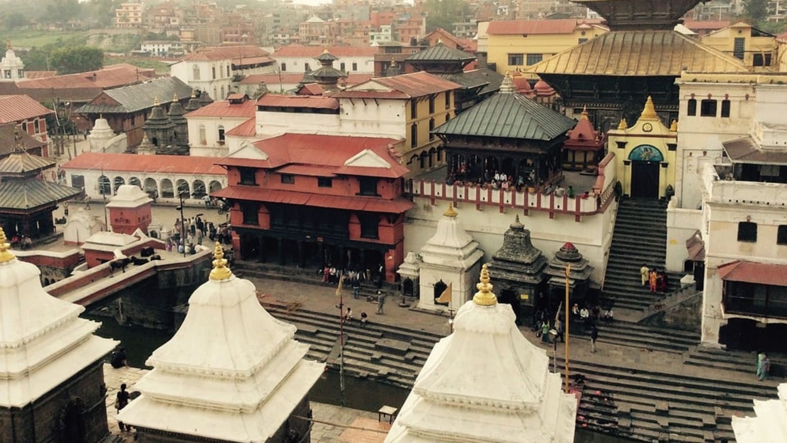 10-Day Pilgrimage and Safari Tour in Nepal with Chitwan and Lumbini