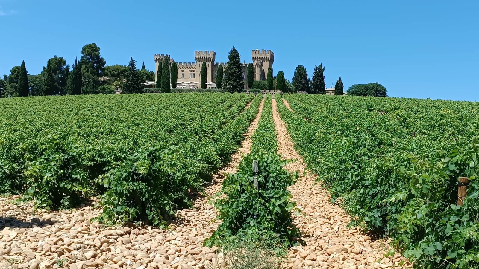 8-Hour Avignon and Chateauneuf du Pape Wine Tour from Aix-en-Provence