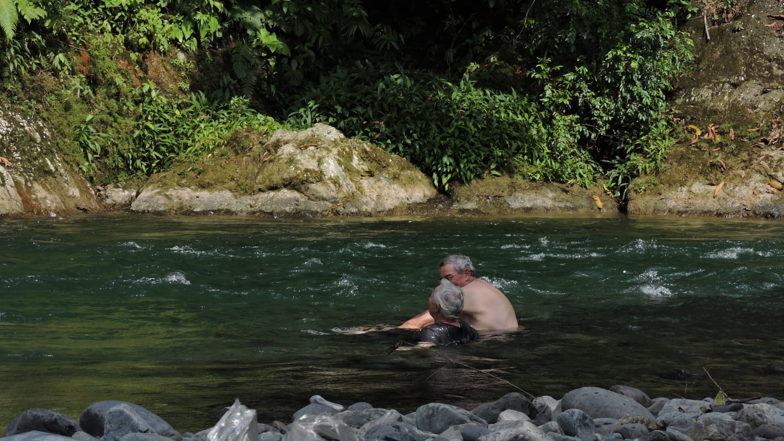 1-Day Wildlife Trek in Gunung Leuser National Park with Orangutans