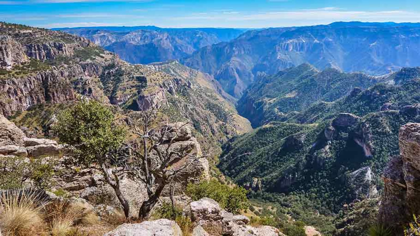 10-Day Copper Canyon Trekking Tour from Los Mochis with Rio Urique Camp