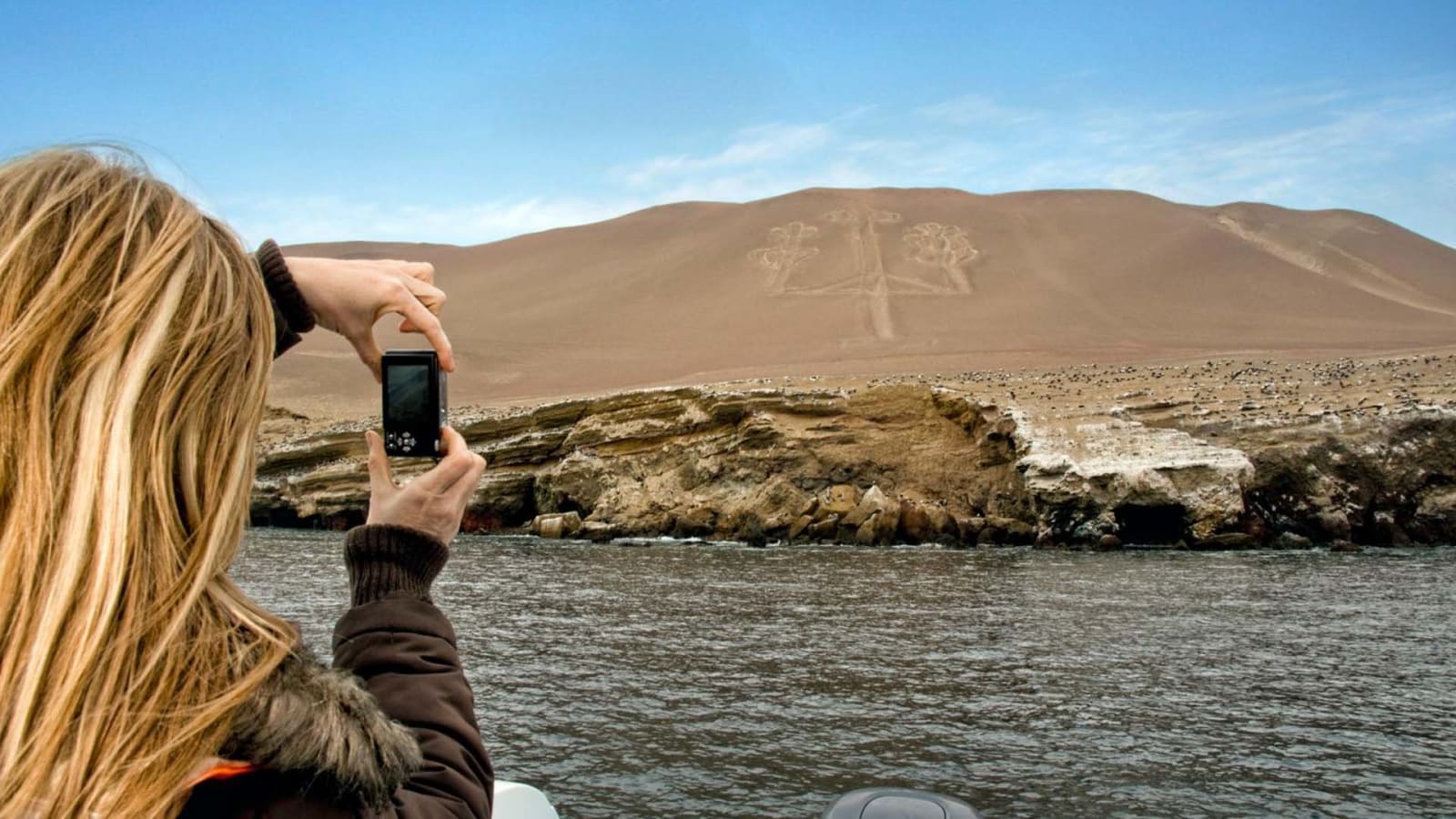Tour de 1 día a Islas Ballestas y Paracas con fauna y playas