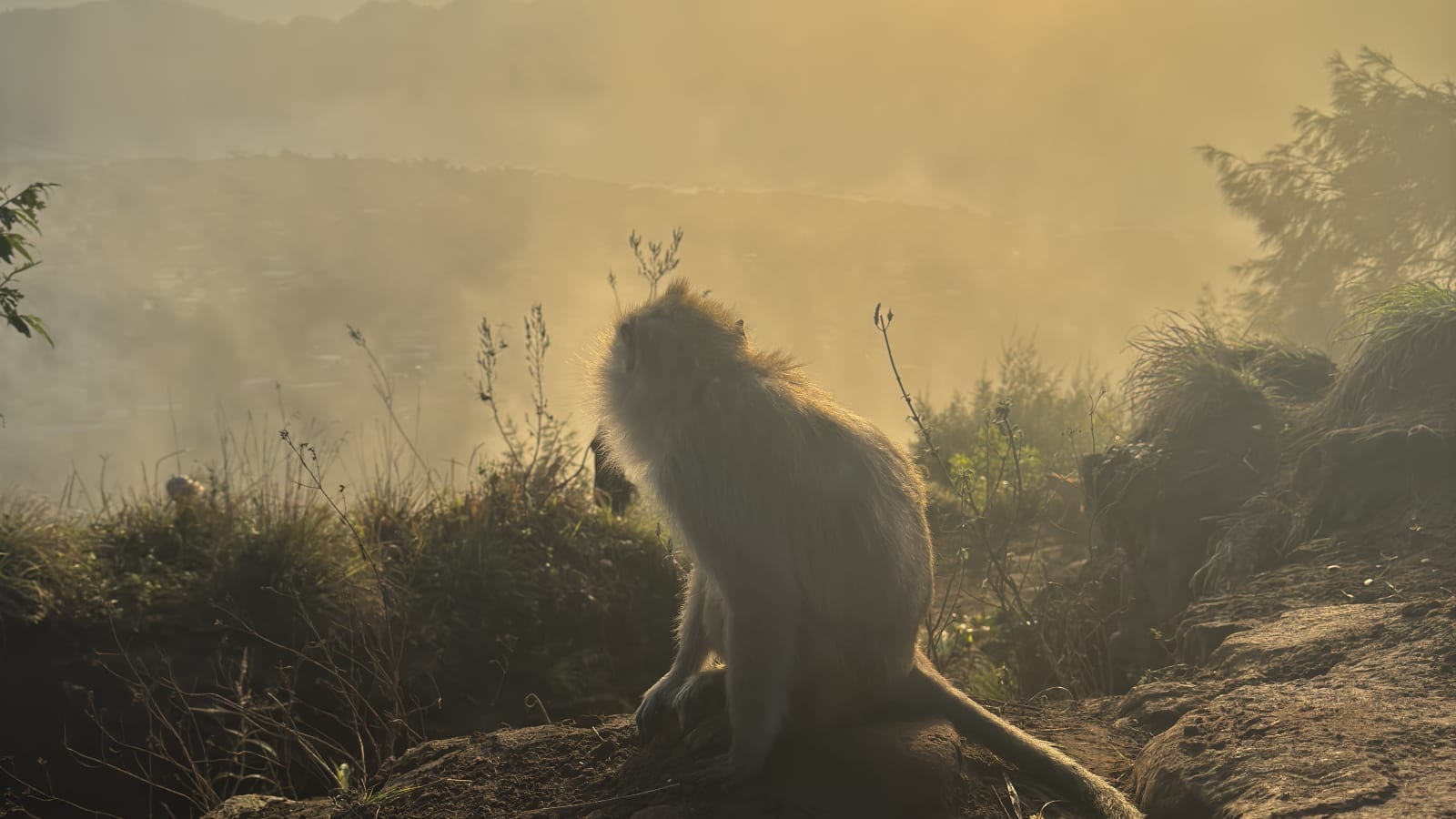 8-Hour Mount Batur Sunrise Hike in Bali with Summit Breakfast