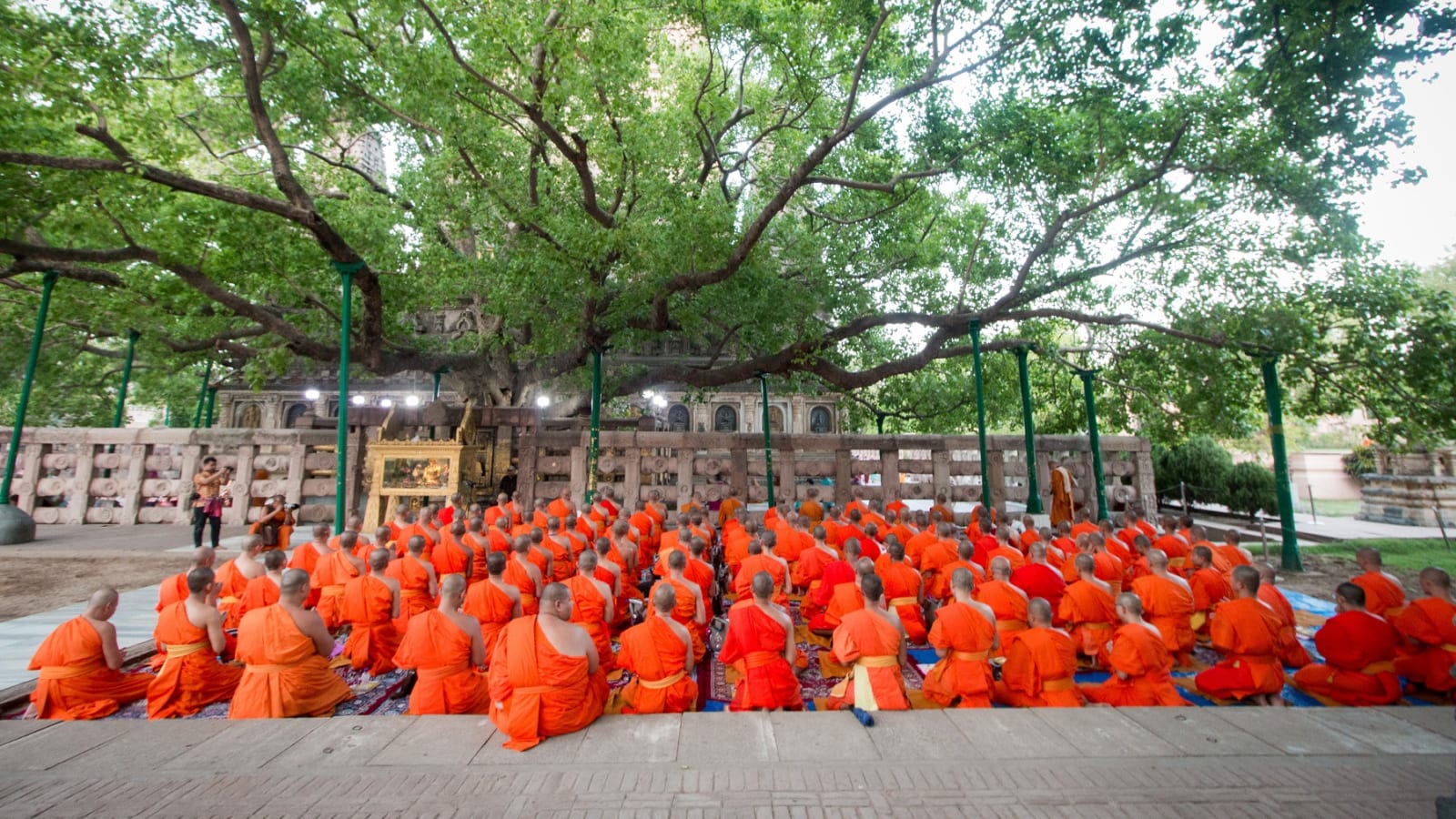14-Day Buddhist Trail Tour from Delhi with India and Nepal
