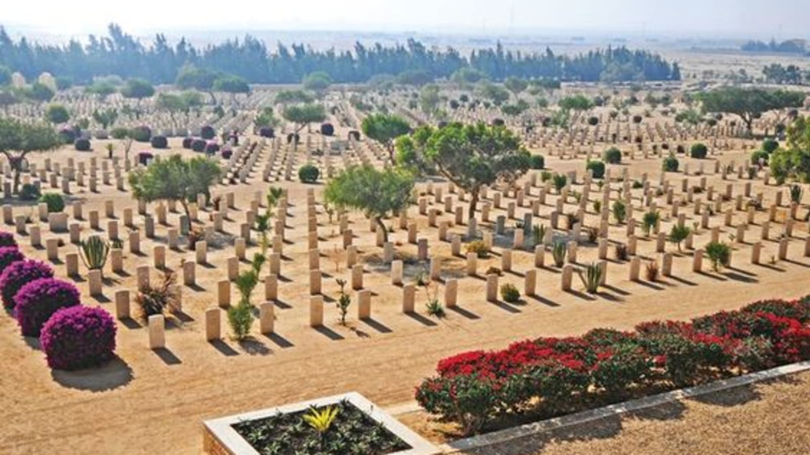 Full-Day El Alamein War Sites Tour from Cairo with Museum Visit