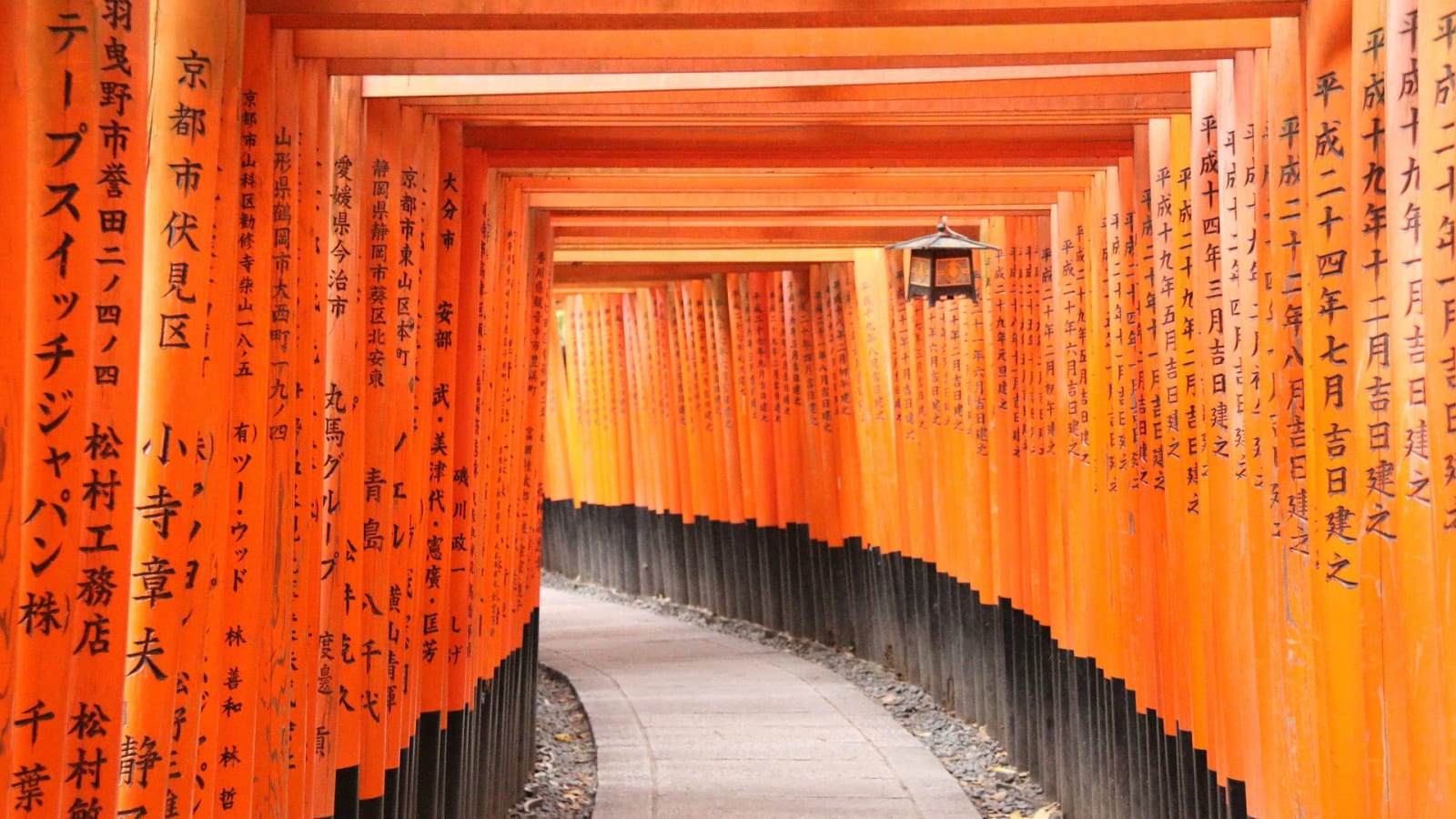 2-Hour Fushimi Inari Shrine Tour in Kyoto with Shinto Insights