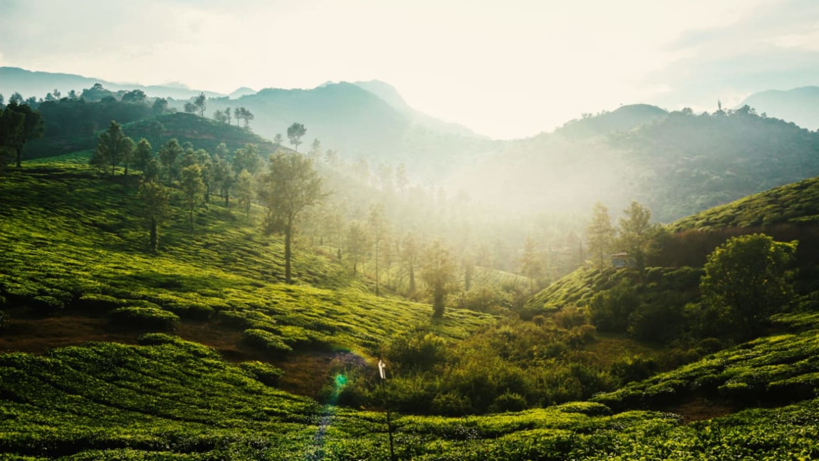 10-Day India Heritage and Wildlife Tour from Delhi to Kerala