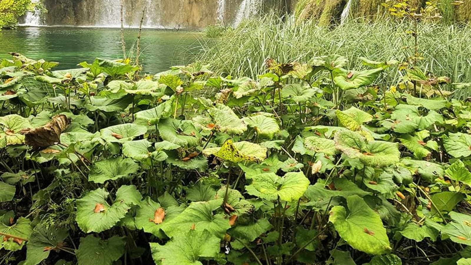 3-Hour Private Plitvice Upper Lakes Tour with Prštavci Waterfalls