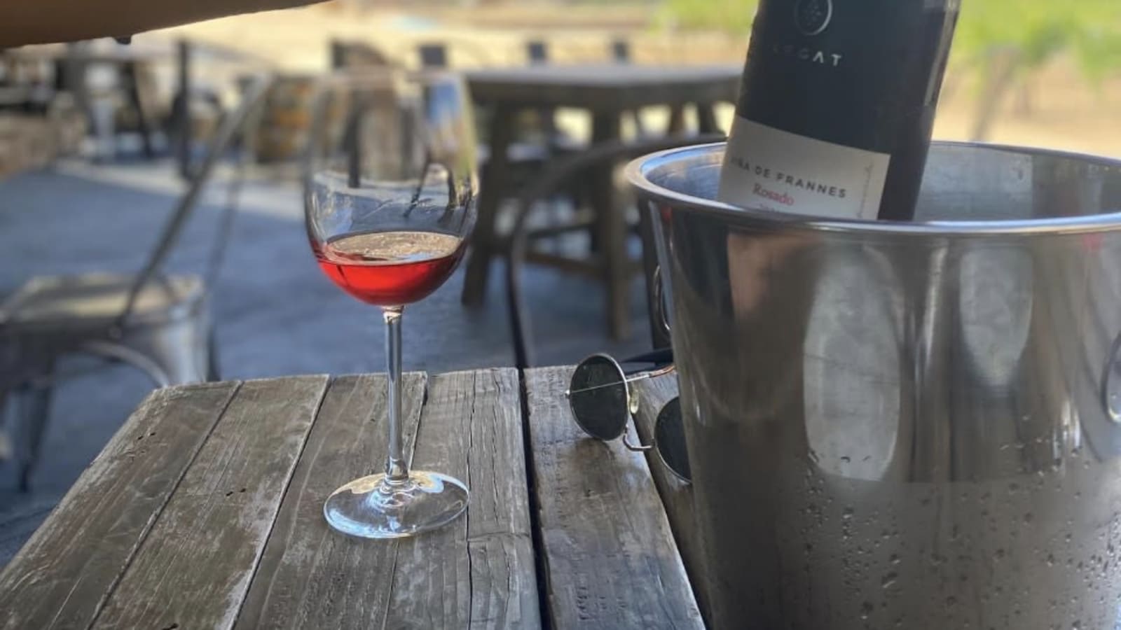 9-Hour Valle de Guadalupe Wine Tour with Tastings at Top Wineries