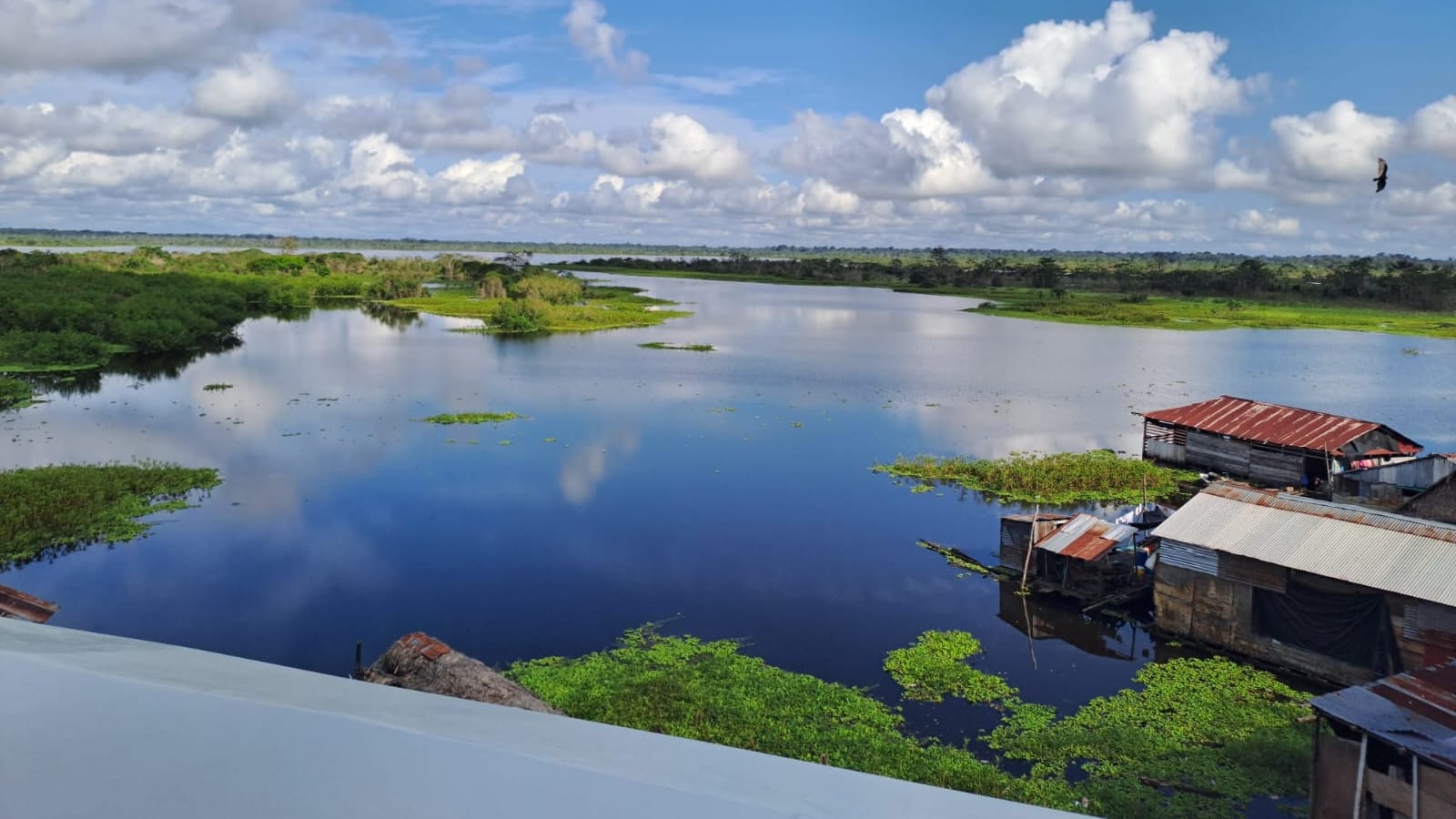 4-Hour Iquitos City Tour with Belen and Nanay Markets