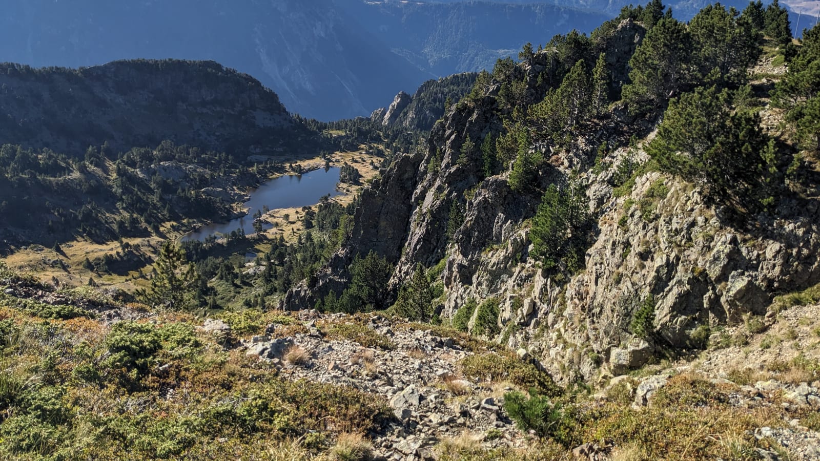 1-Day Birdwatching Hike in Chamrousse through Alpine Landscapes