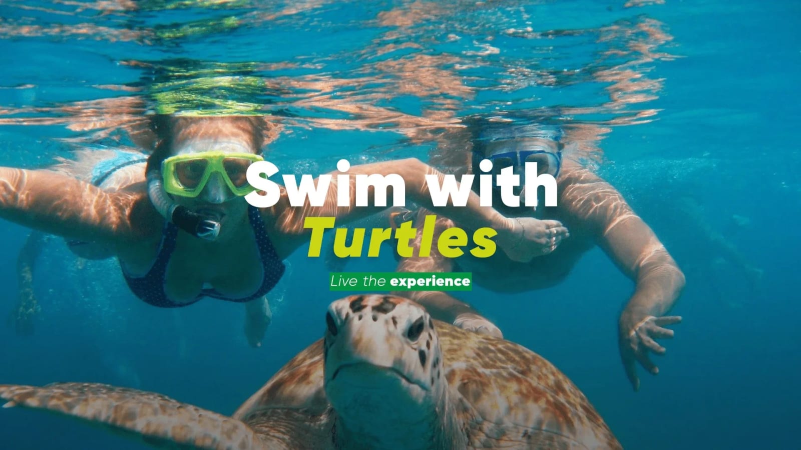 7-Hour Akumal Snorkelling Tour with Sea Turtles and Cenote Swim