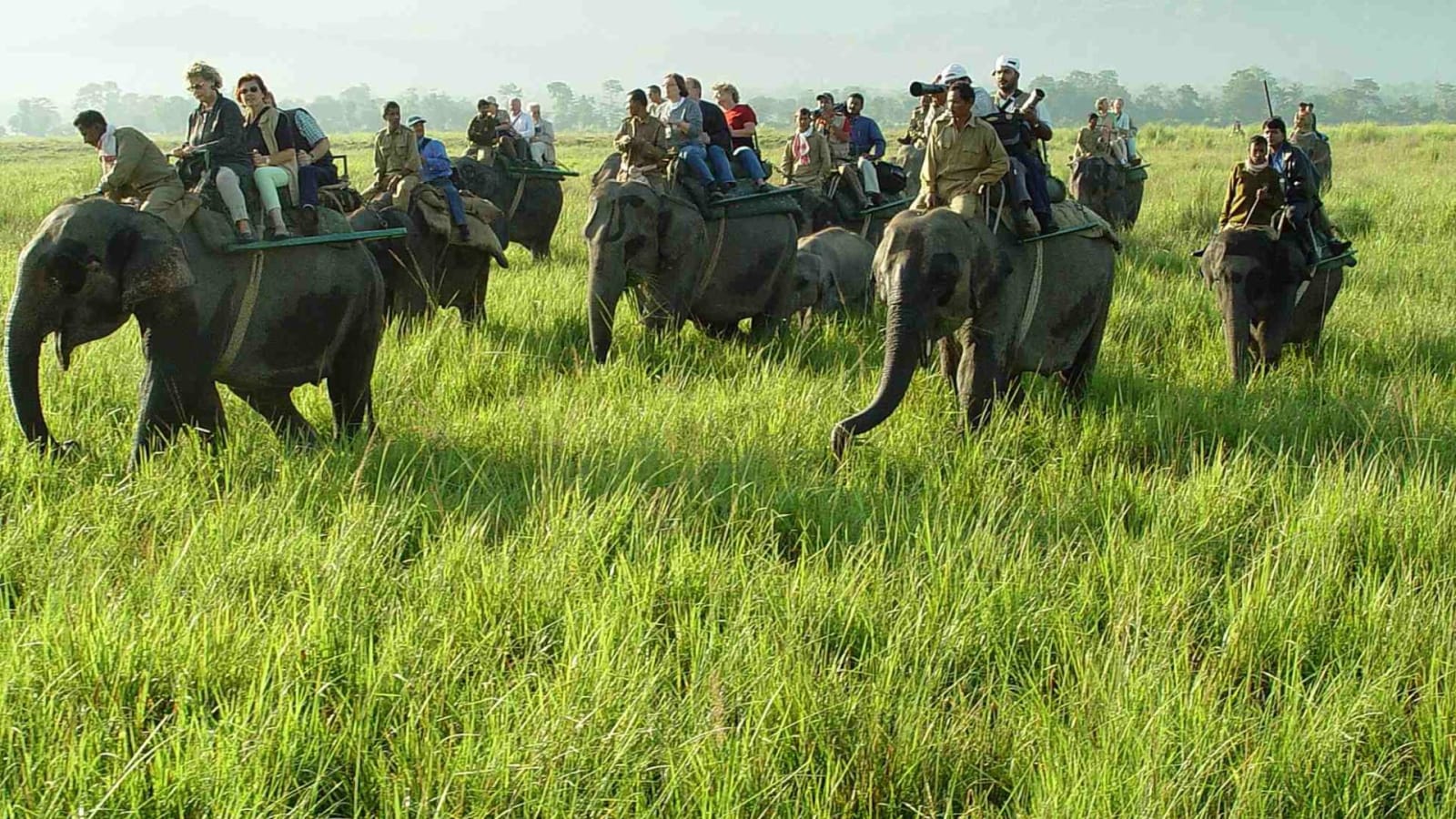 4-Day getaway to Kaziranga National Park from Guwahati