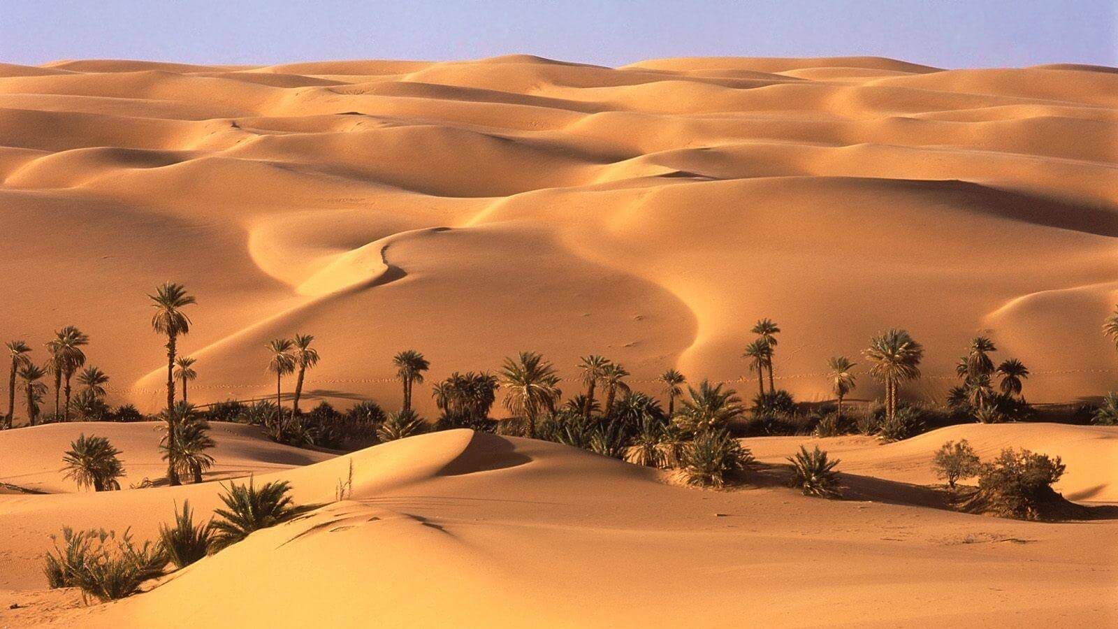 7-Day Egypt Tour of Cairo, Bahariya Oasis and the White Desert