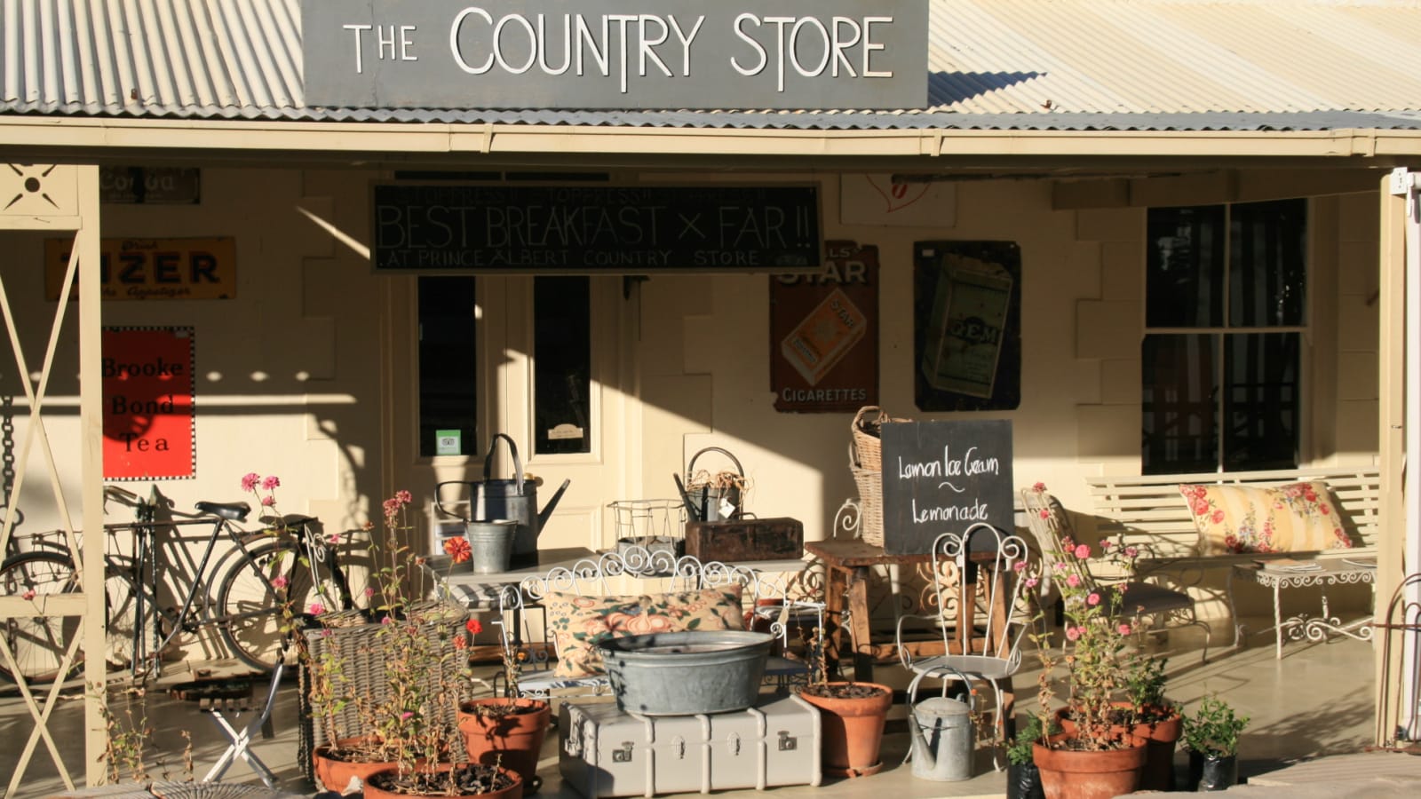 5-Day Garden Route and Little Karoo Tour with Prince Albert