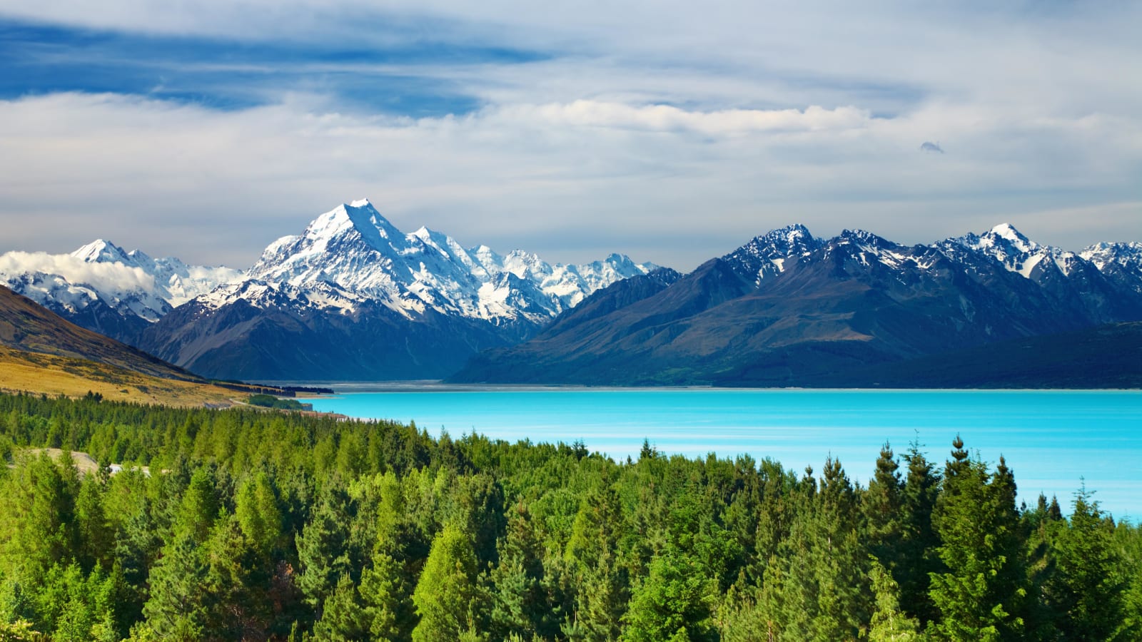 13-Hour Mackenzie Basin Nature Tour from Christchurch to Mount Cook