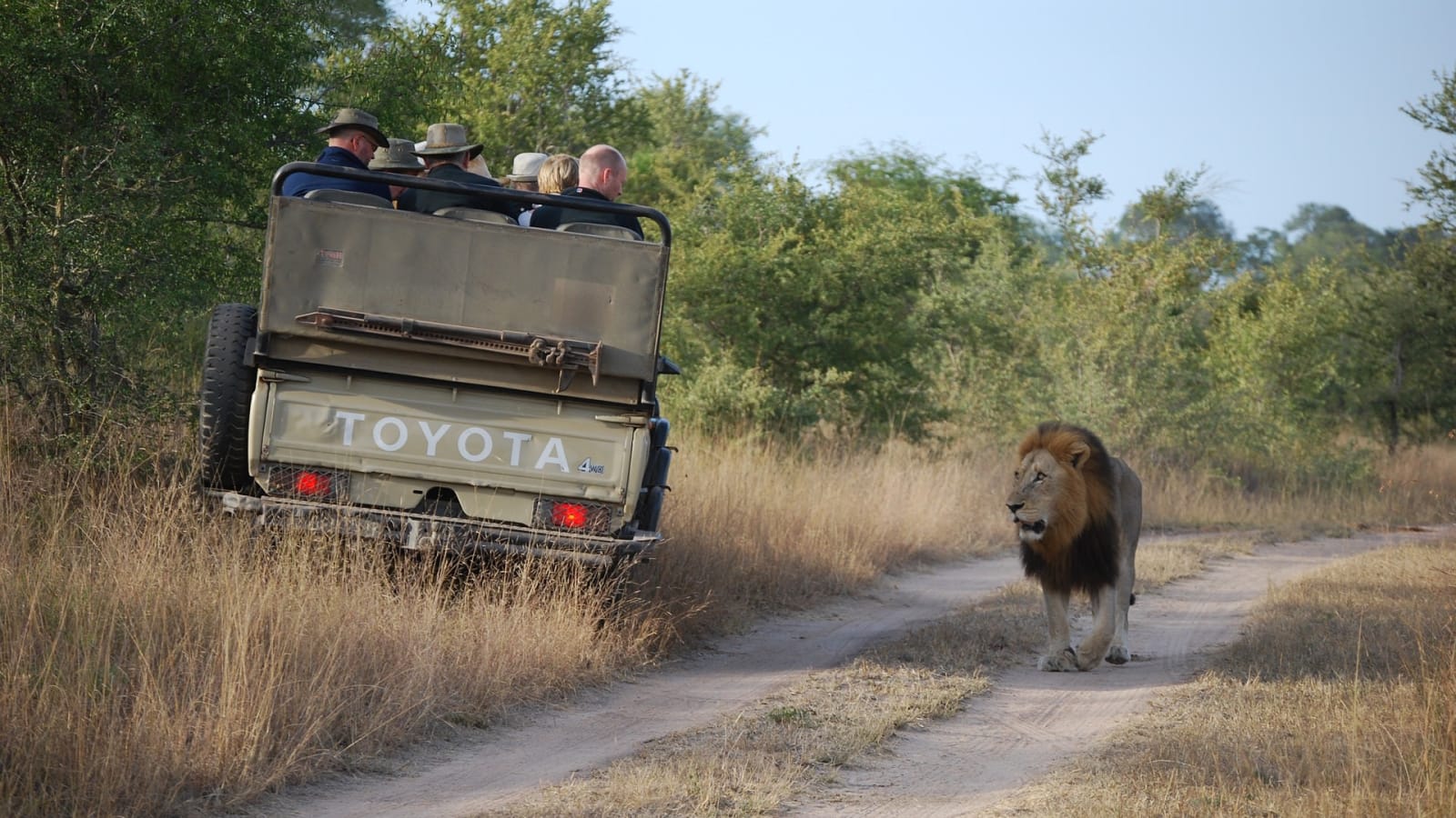 1-Day Kruger National Park Safari from Maputo with Big Five Viewing