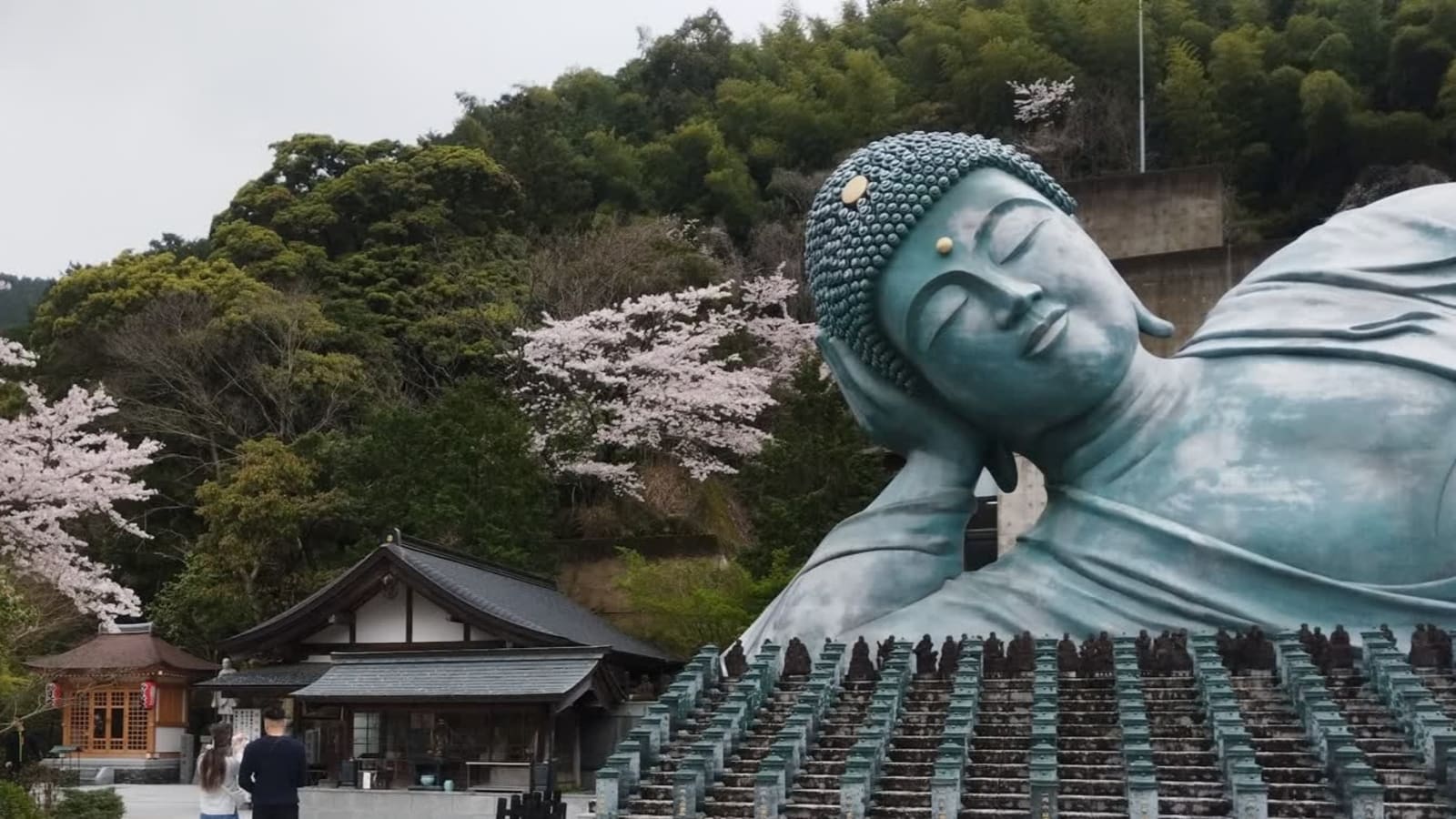 Visite culturelle et spirituelle de 8 heures à Fukuoka et Dazaifu